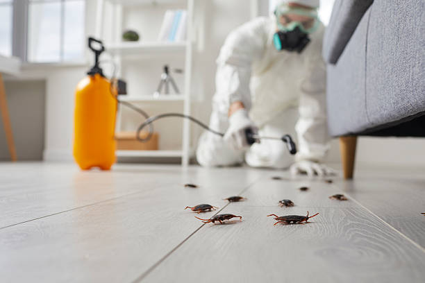 Commercial Kitchen Cockroach Control in Zumbrota